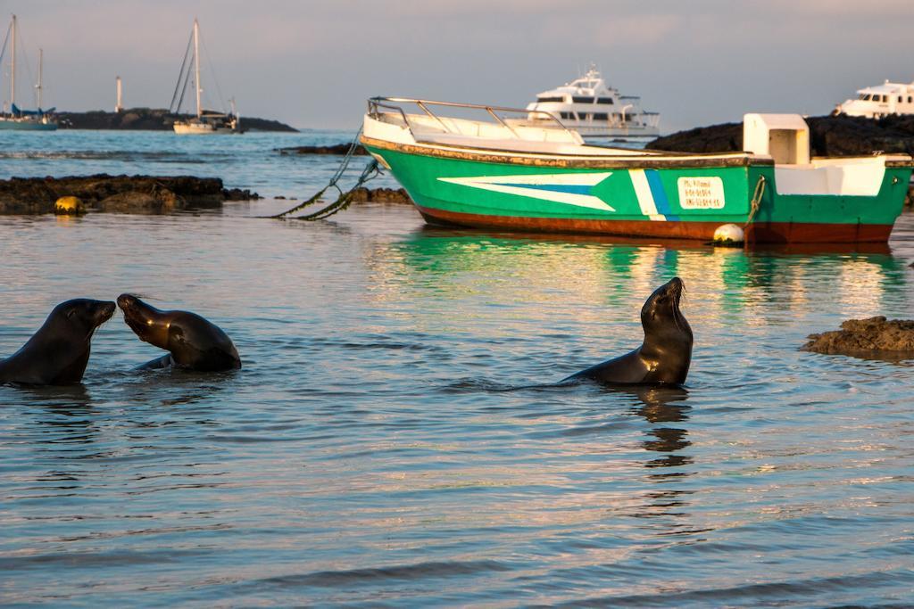 Chez Manany Galapagos Ecolodge Puerto Villamil Exterior photo